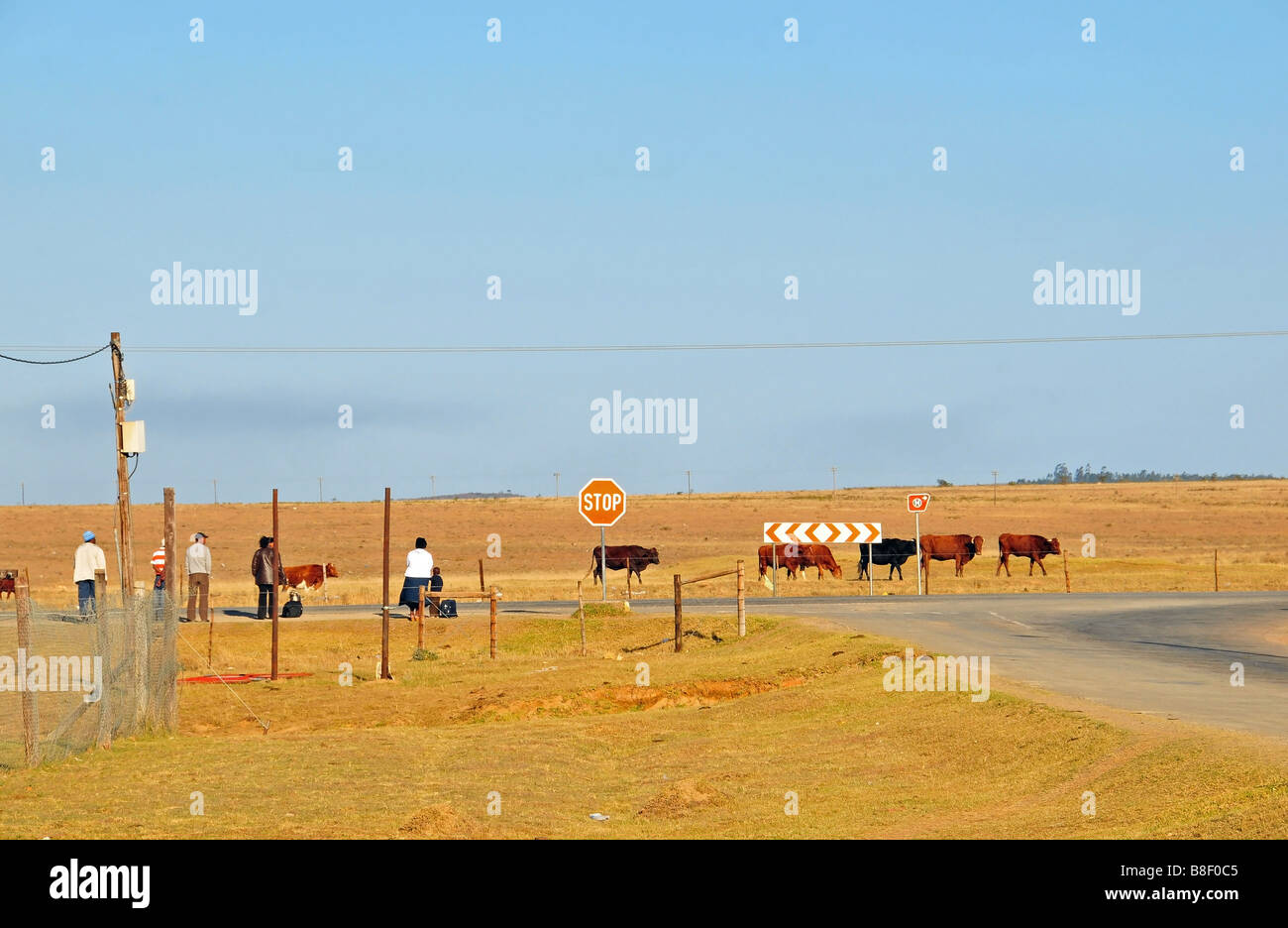 Six township residents wait for a minibus taxi along a road crossing open land at the eastern edge of Grahamstown, South Africa Stock Photo