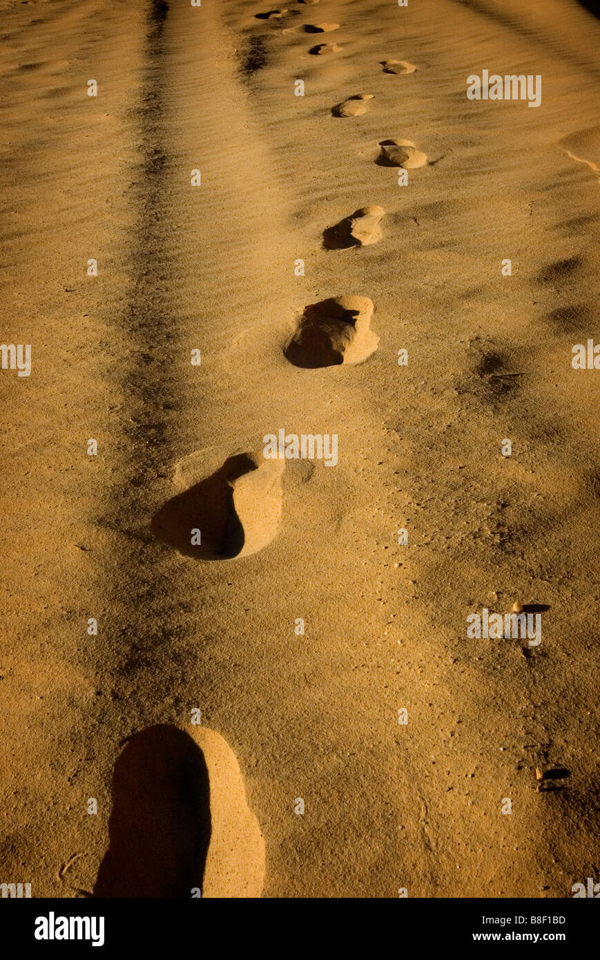 footprints in the desert sand in Egypt Stock Photo
