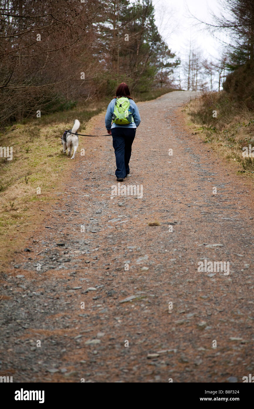Lone female walking dog down country track with a dog on a leash in winter wearing a ruck sack, Crafnant, Wales, UK Stock Photo