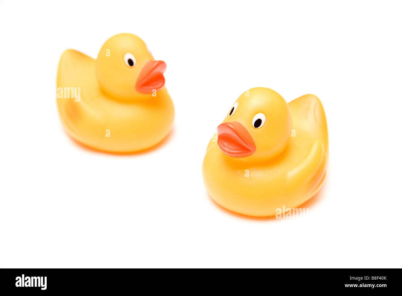 Rubber Ducks isolated on a white studio background Stock Photo
