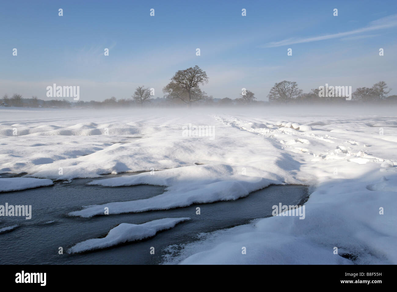 Downside surrey hires stock photography and images Alamy