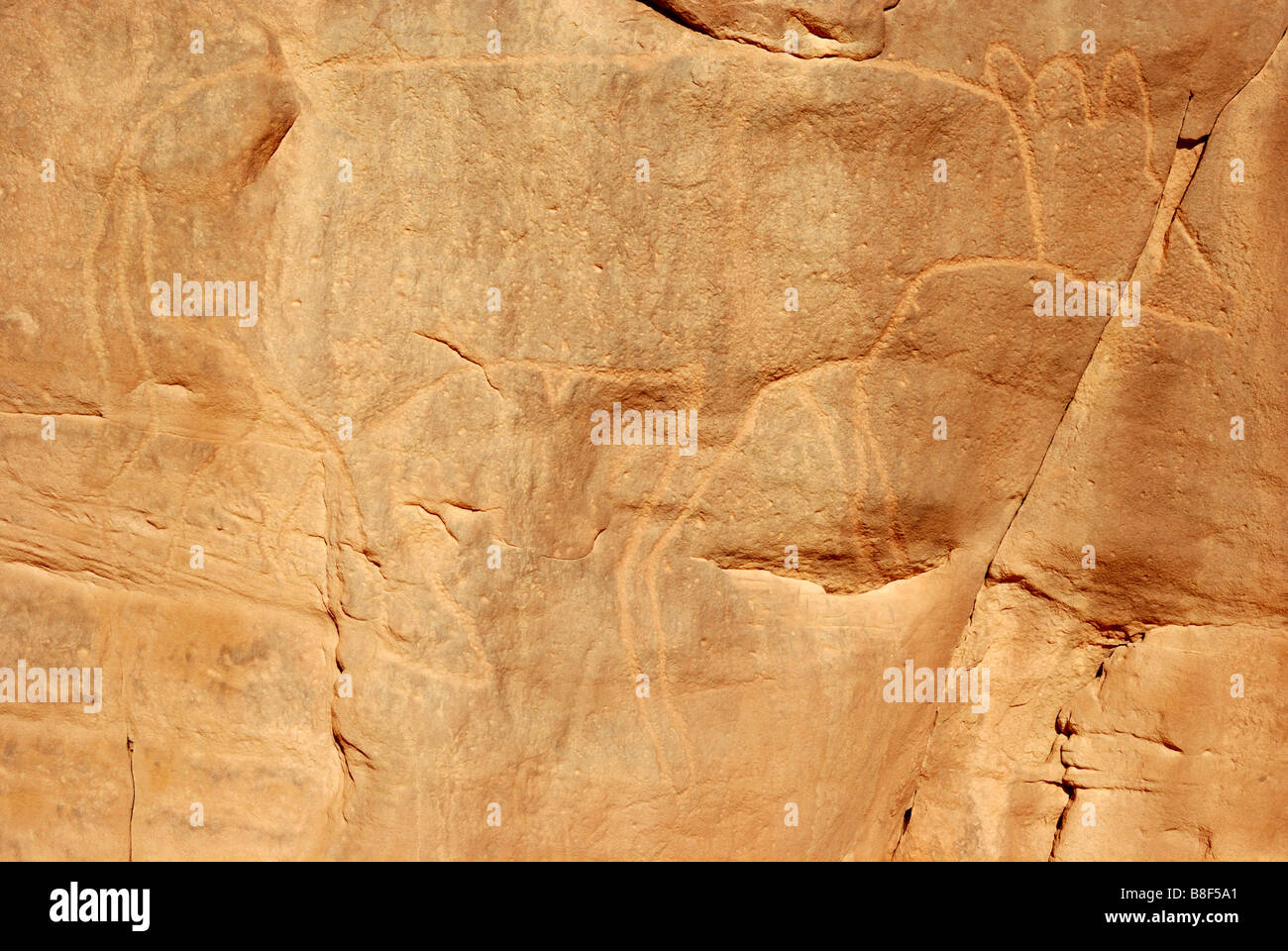 Rock engravings in Tassili Maghidet (Maghridet or Libyc Tassili) Stock Photo