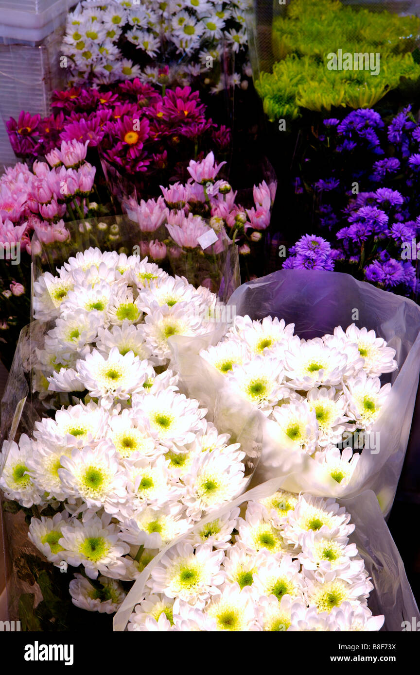 Bouquets of fresh flowers on display Stock Photo Alamy