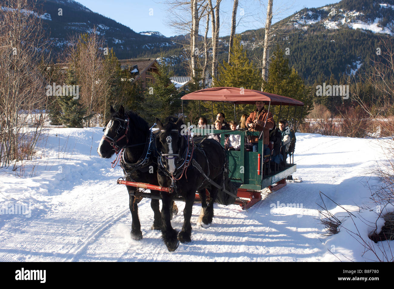 Horse drawn sleigh ride tour around Green Lake Whistler BC Canada Stock Photo