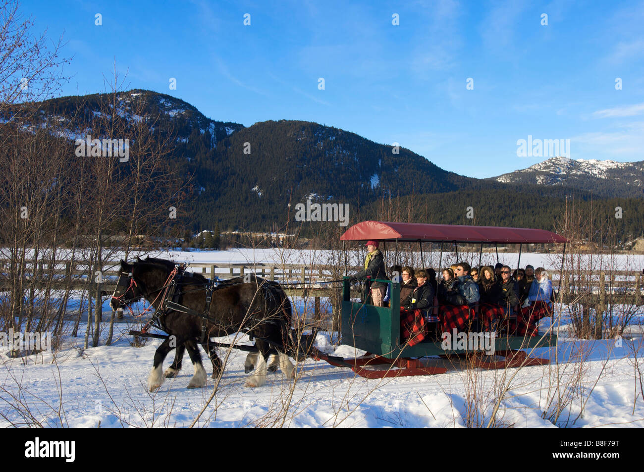 Horse drawn sleigh ride tour around Green Lake Whistler BC Canada Stock