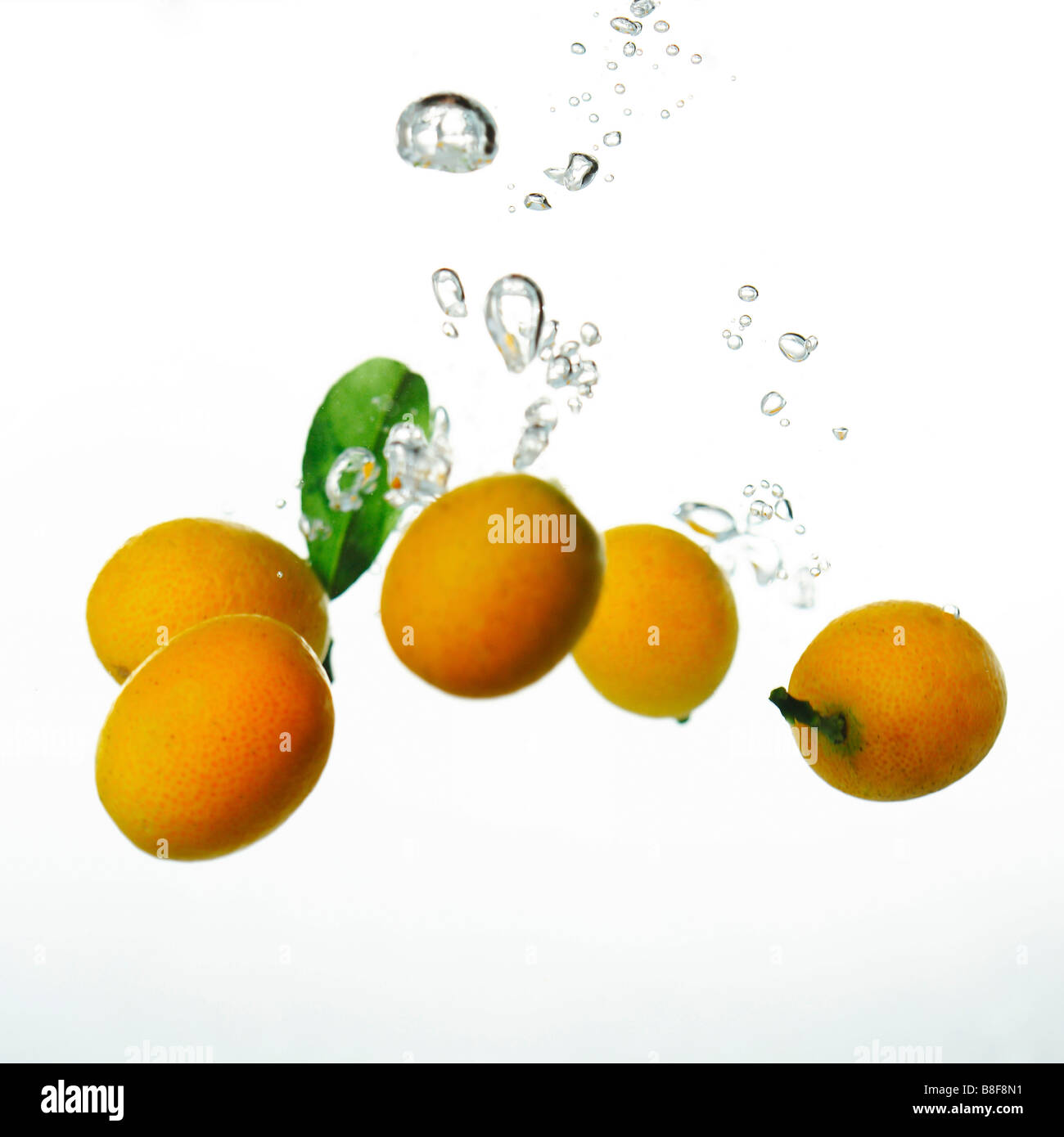 Kumquats in water with bubbles Stock Photo Alamy