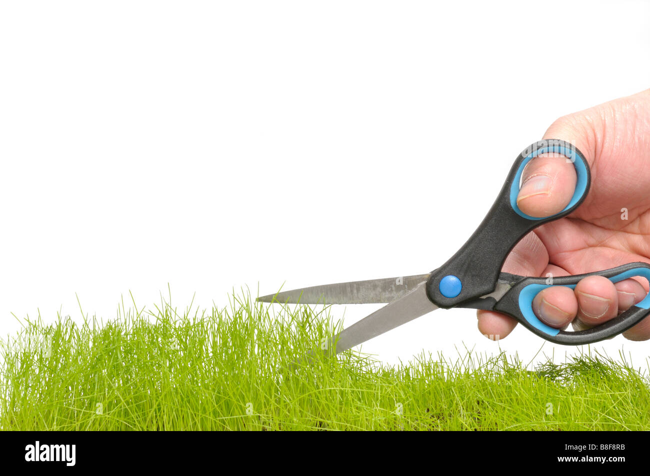 Cutting grass with a pair of scissors Stock Photo Alamy