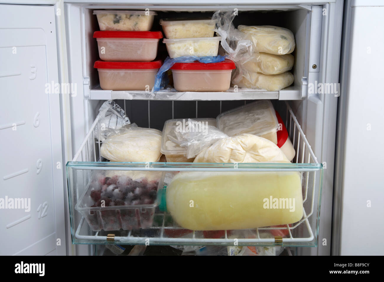 Frozen Soup Refrigerator Stock Photo 329001854