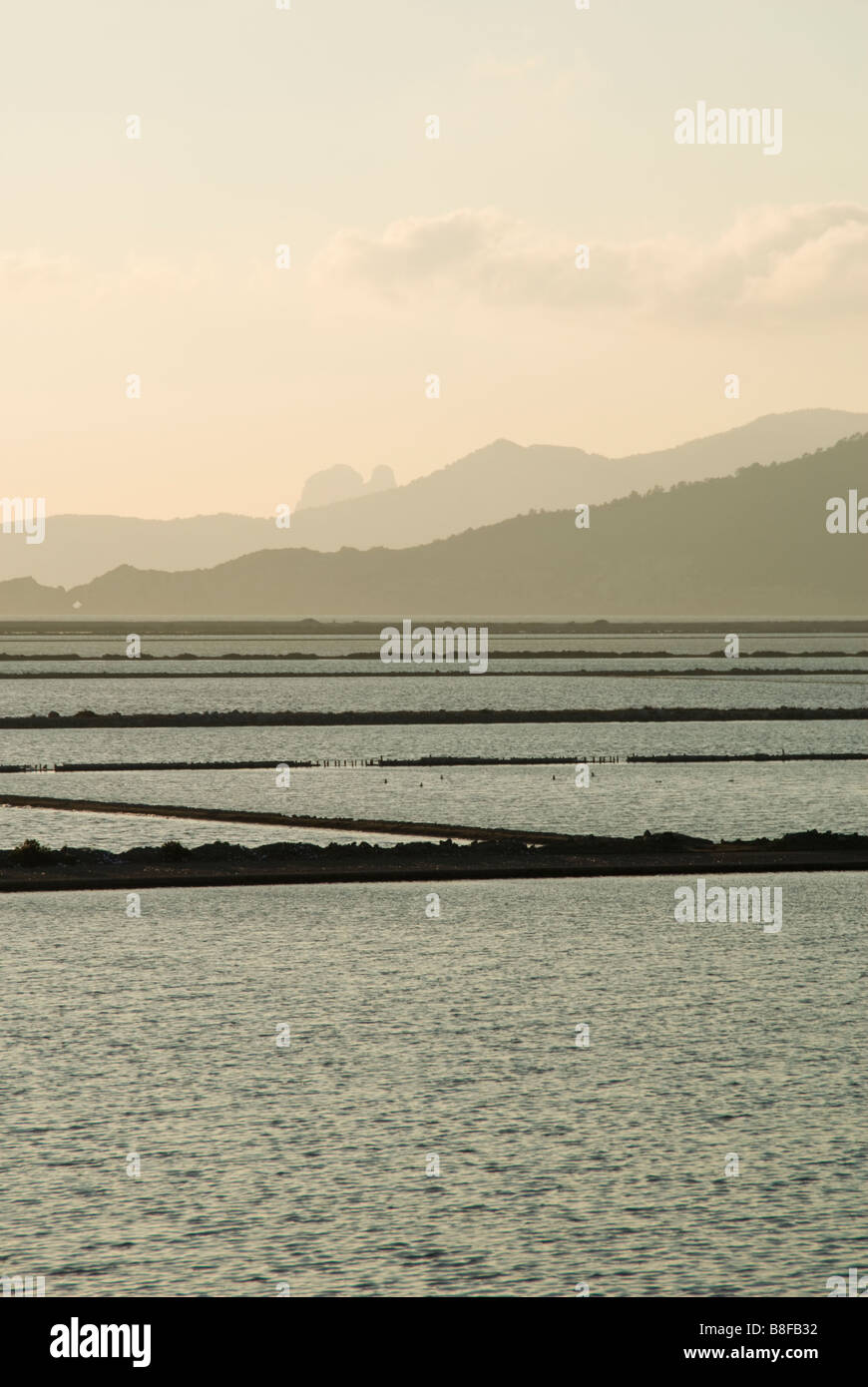 View of  Las Salinas saltflats, Ibiza, Spain Stock Photo