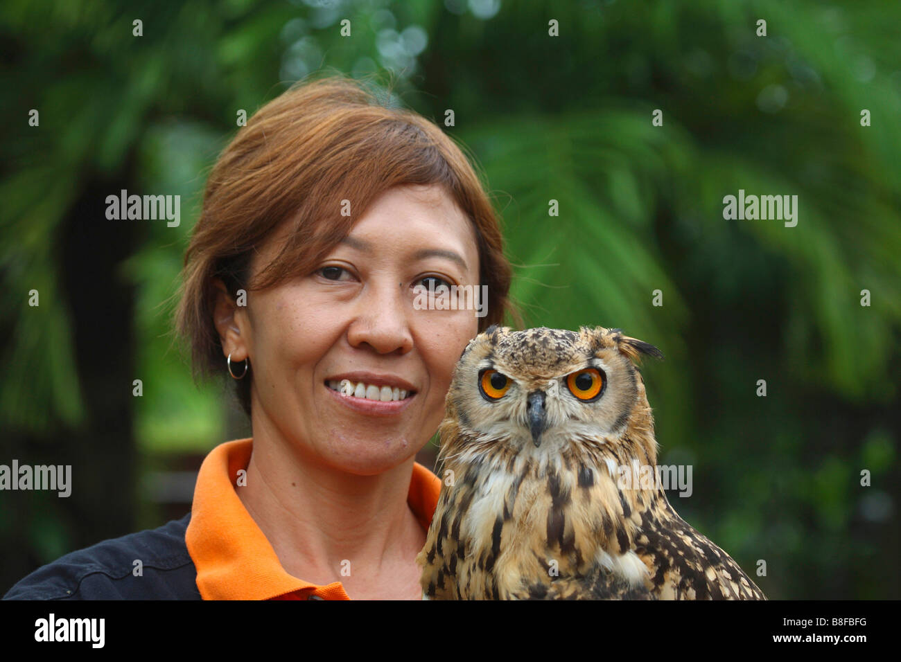 forest eagle owl (Bubo nipalensis), woman with forest eagle owl, Singapore, Jurong Bird Park Stock Photo