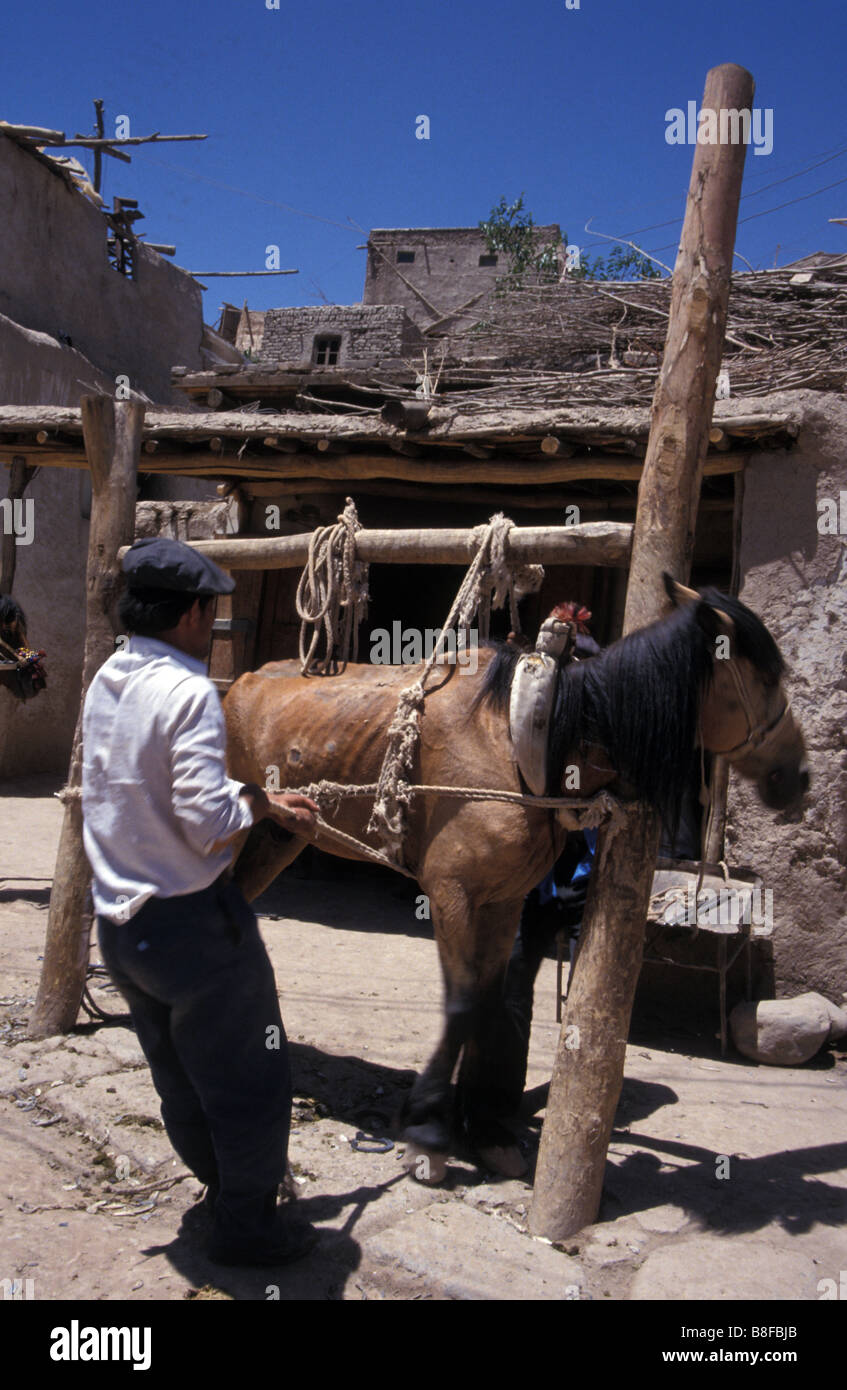 Uighur blacksmith shoeing a horse Kashgar Xinjiang China Stock Photo