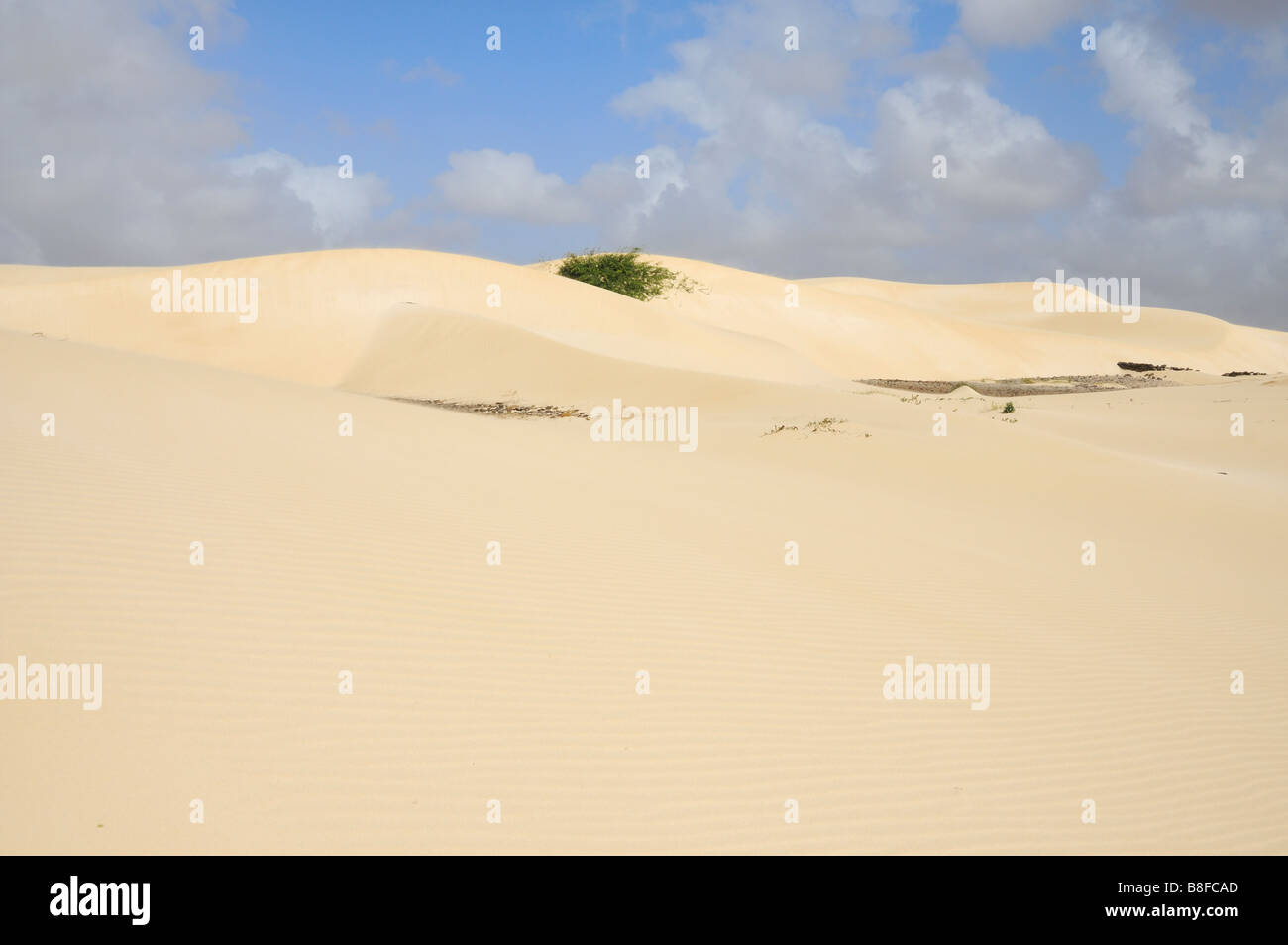 Deserto Viana sand desert, Boa Vista Island, Republic of Cape Verde Stock Photo