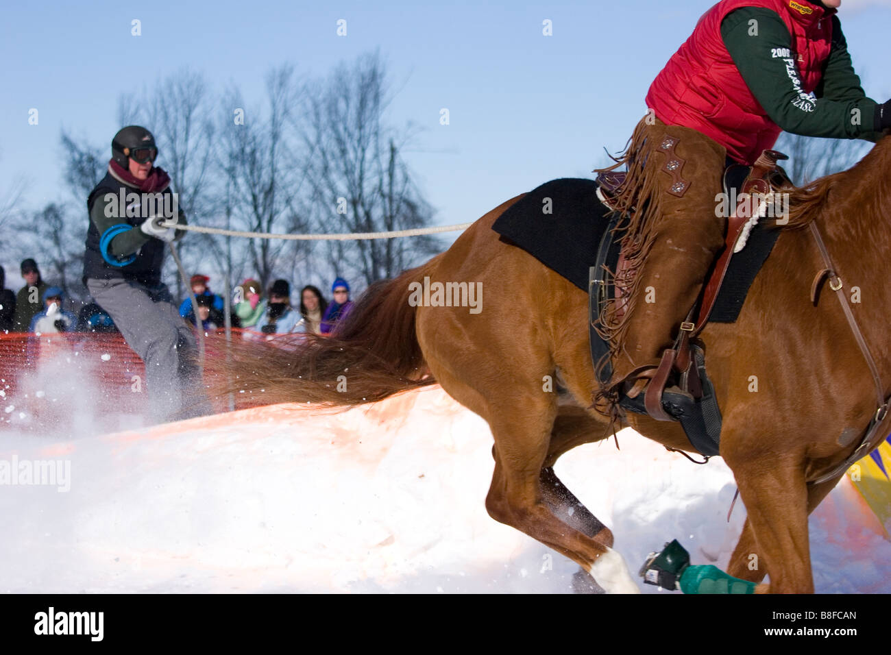 A rider on horseback pulls a skier in a winter event known as skijoring, New Hampshire, USA Stock Photo