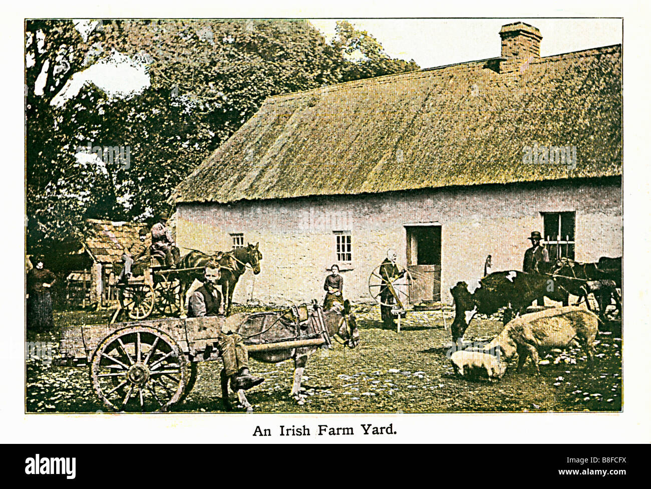 Irish Farm Yard 1910 coloured photo of an agricultural scene in rural Ireland Stock Photo