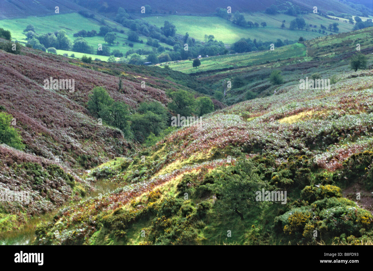 Black mountains, Wales, UK Stock Photo Alamy