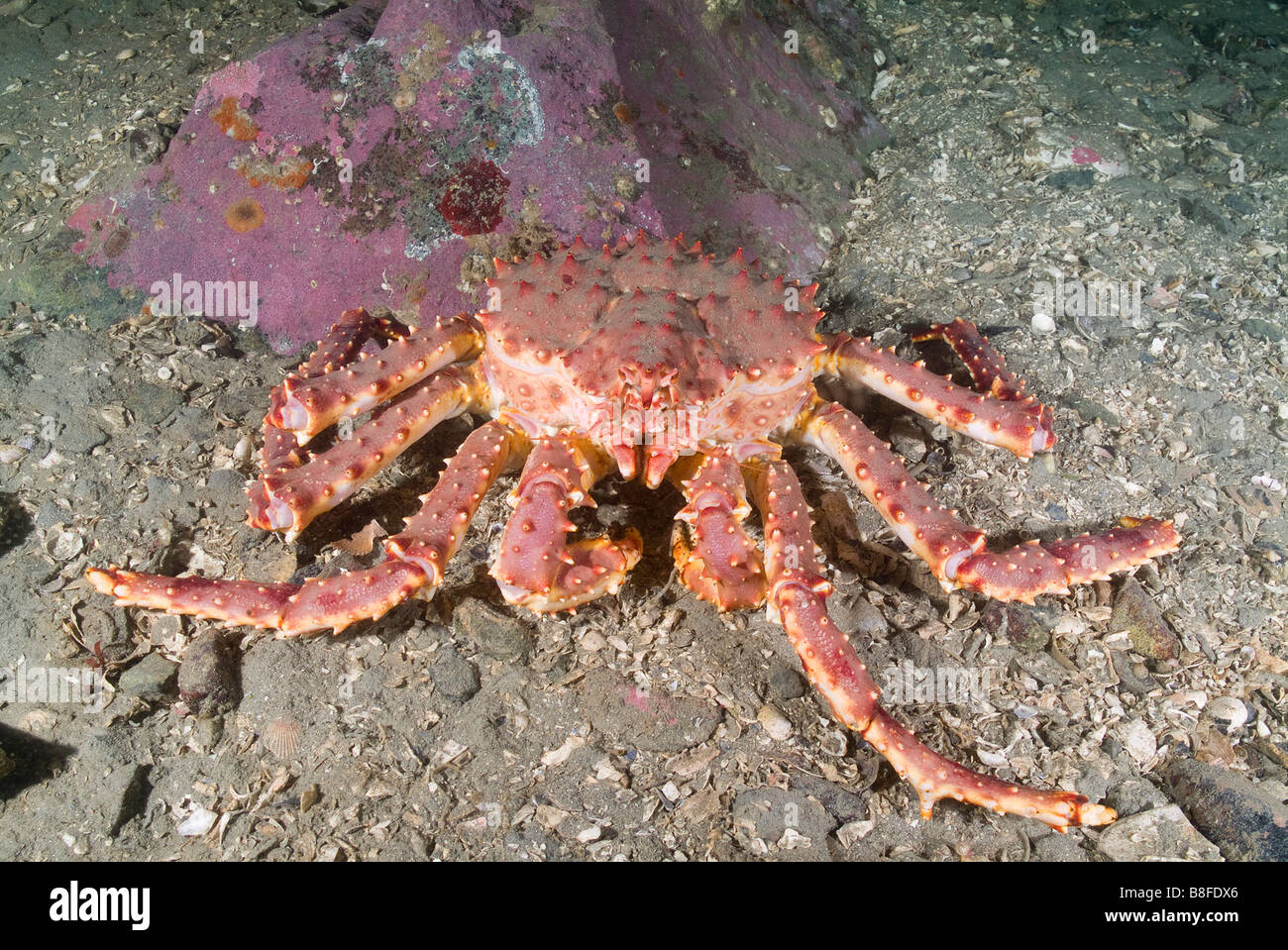 Bering sea crab fishing hi-res stock photography and images - Alamy