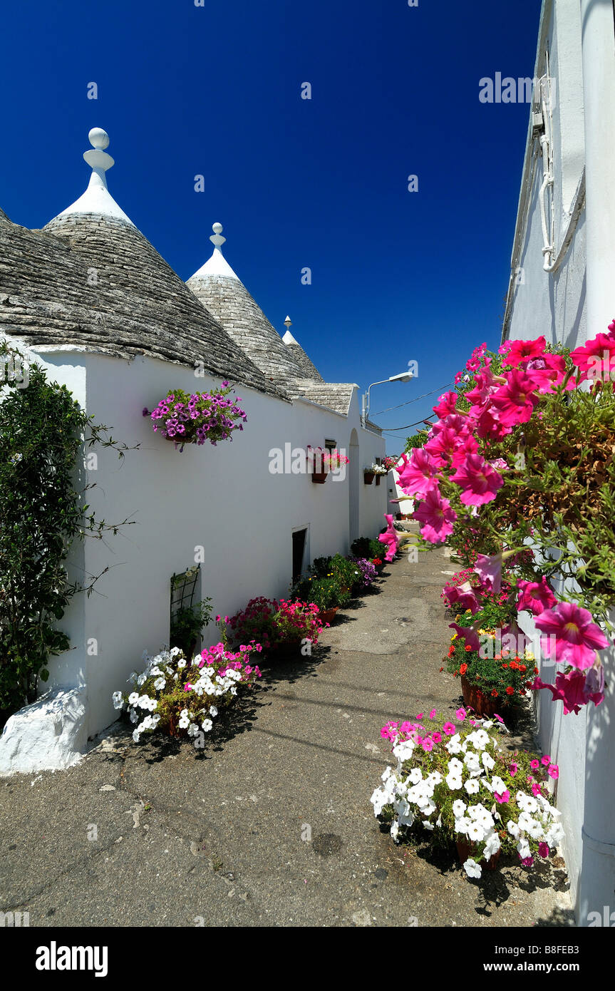 one of the narrow lanes among trulli houses of alberobello the very famous and ld village of puglia, italy Stock Photo