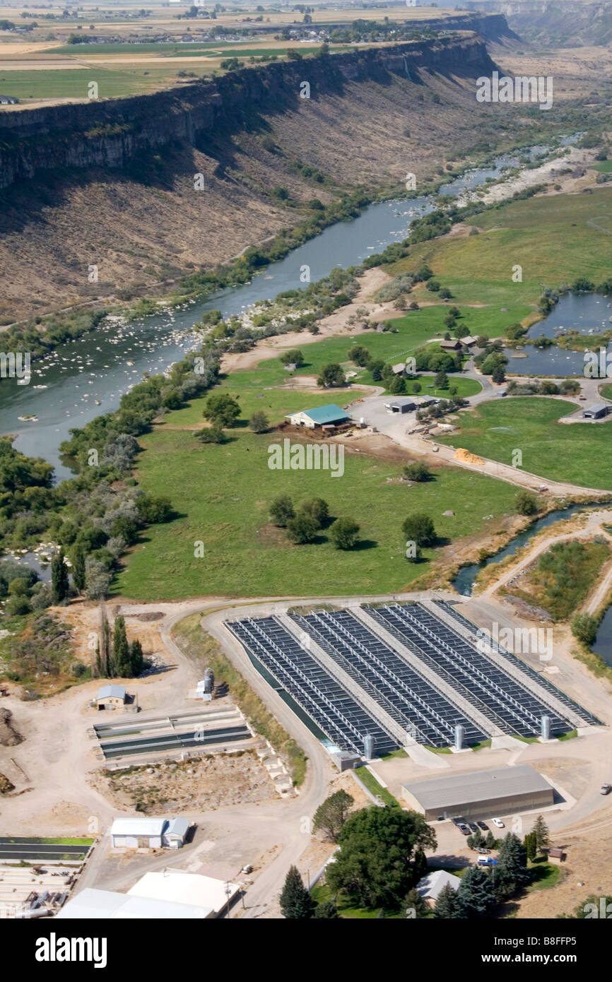 Aerial view of Blue Lakes Trout Farm in the Snake River Canyon at Twin