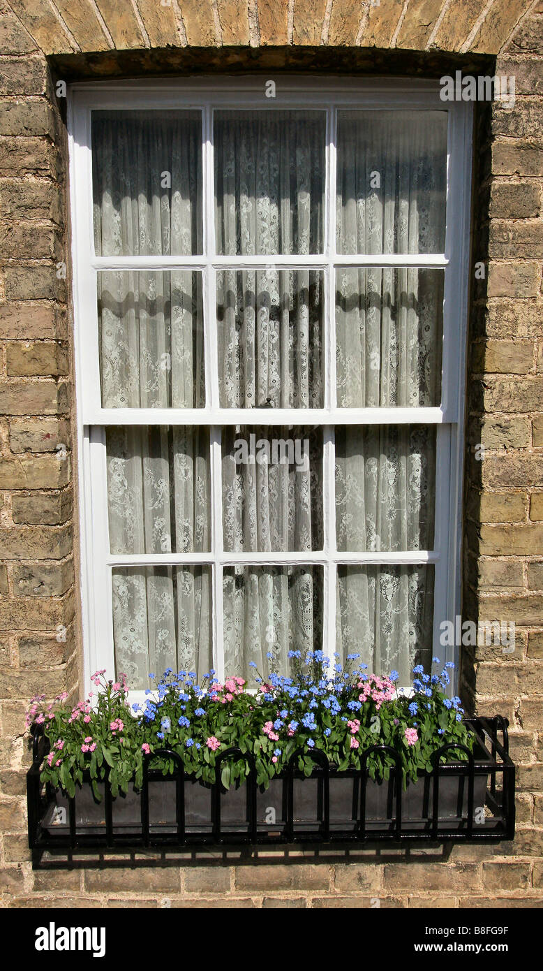 Sash window curtains hires stock photography and images Alamy