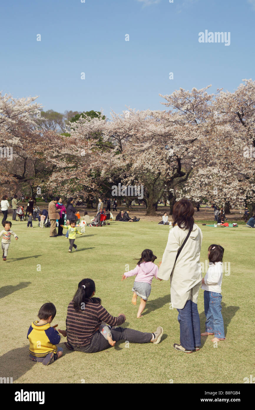 JAPAN TOKYO SHINJUKU GYOEN PARK HANAMI Stock Photo - Alamy