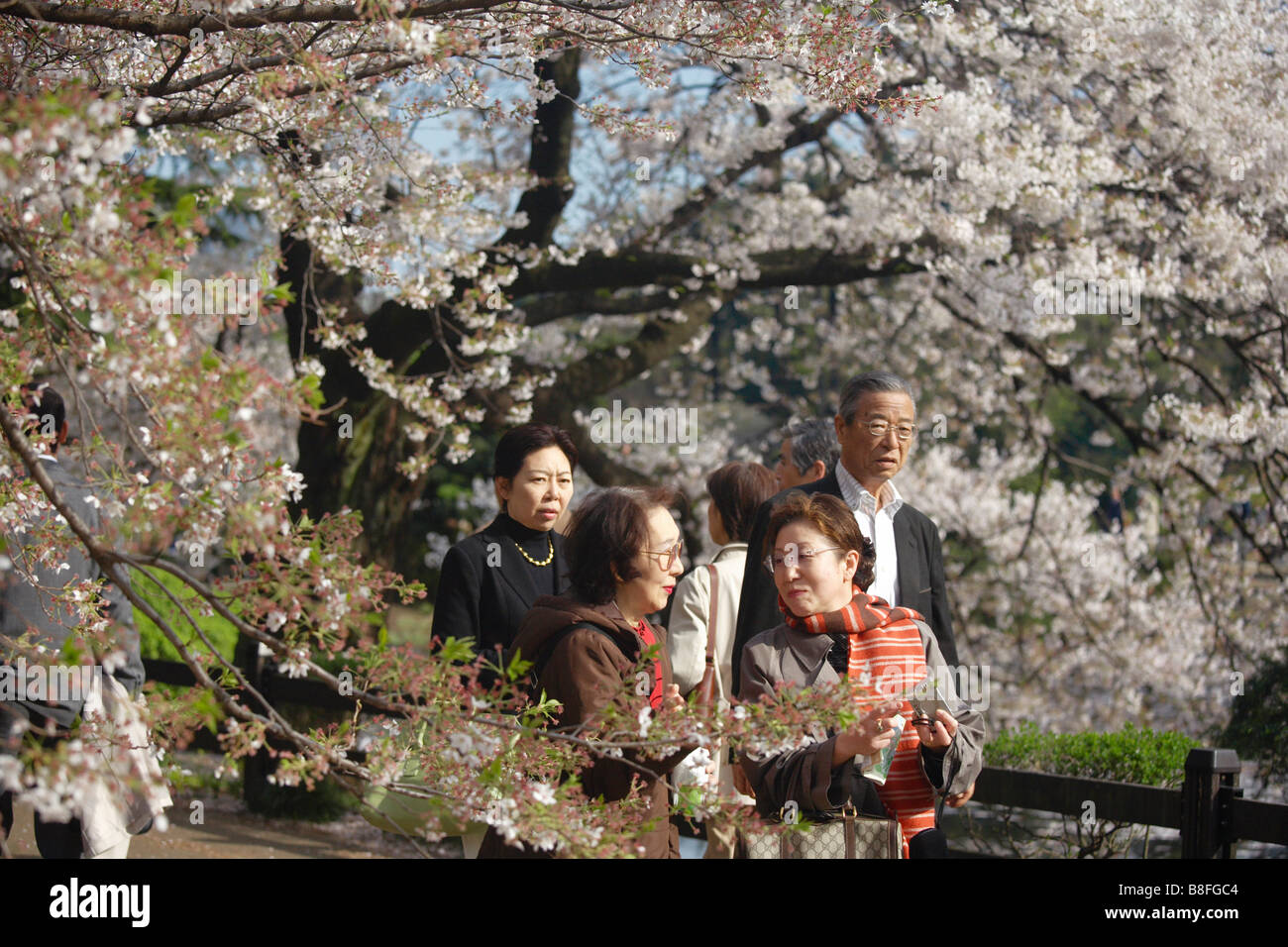 Japanese family in shinjuku hi-res stock photography and images - Alamy