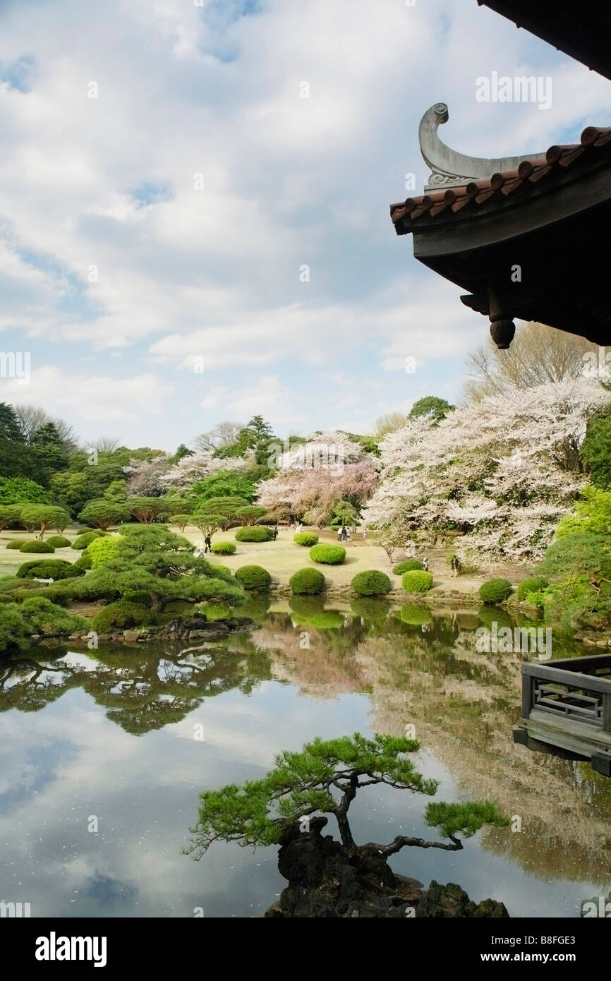 JAPAN TOKYO SHINJUKU GYOEN HANAMI Stock Photo - Alamy
