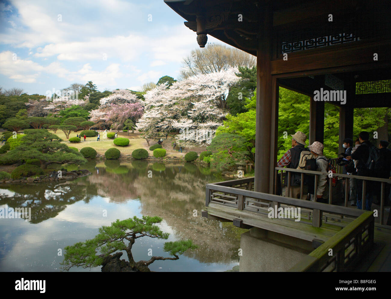 JAPAN TOKYO SHINJUKU GYOEN HANAMI Stock Photo - Alamy