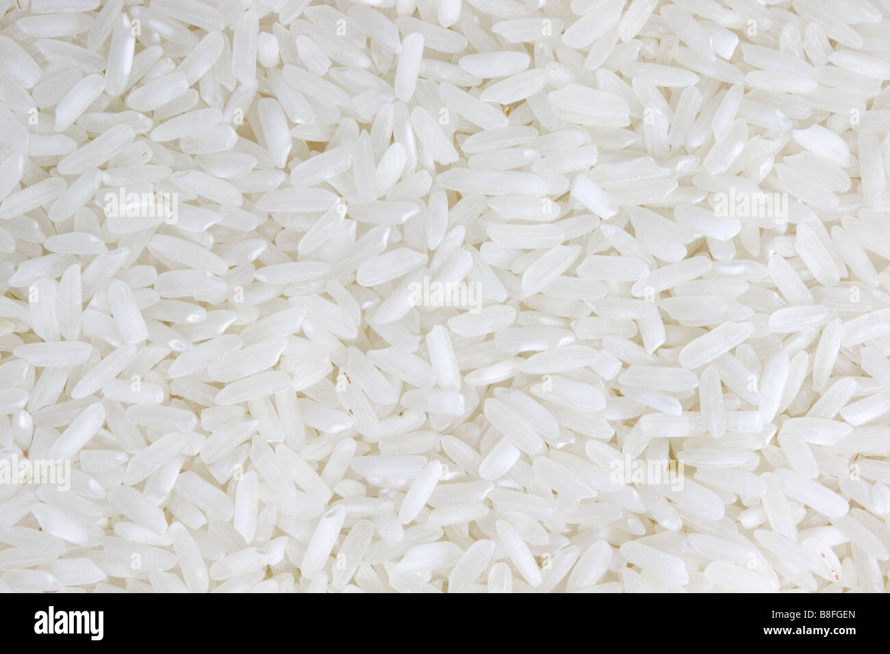 All White Rice White rice Stock Photo - Alamy