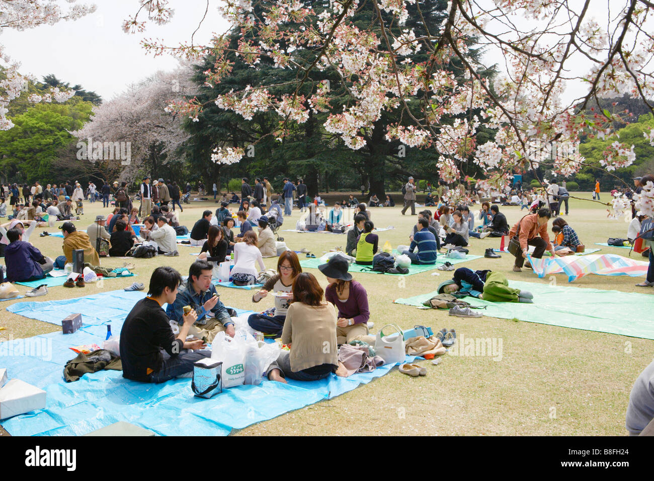 Shinjuku gyoen national gardens hi-res stock photography and images - Alamy