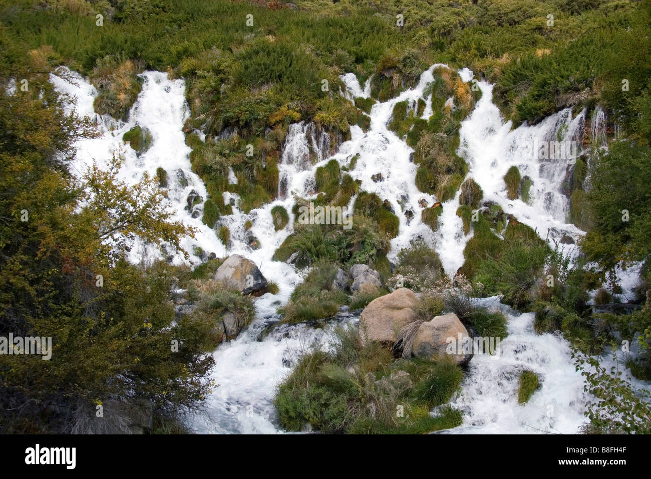 Fresh water springs at the Niagara Spring State Park in Hagerman Idaho USA Stock Photo