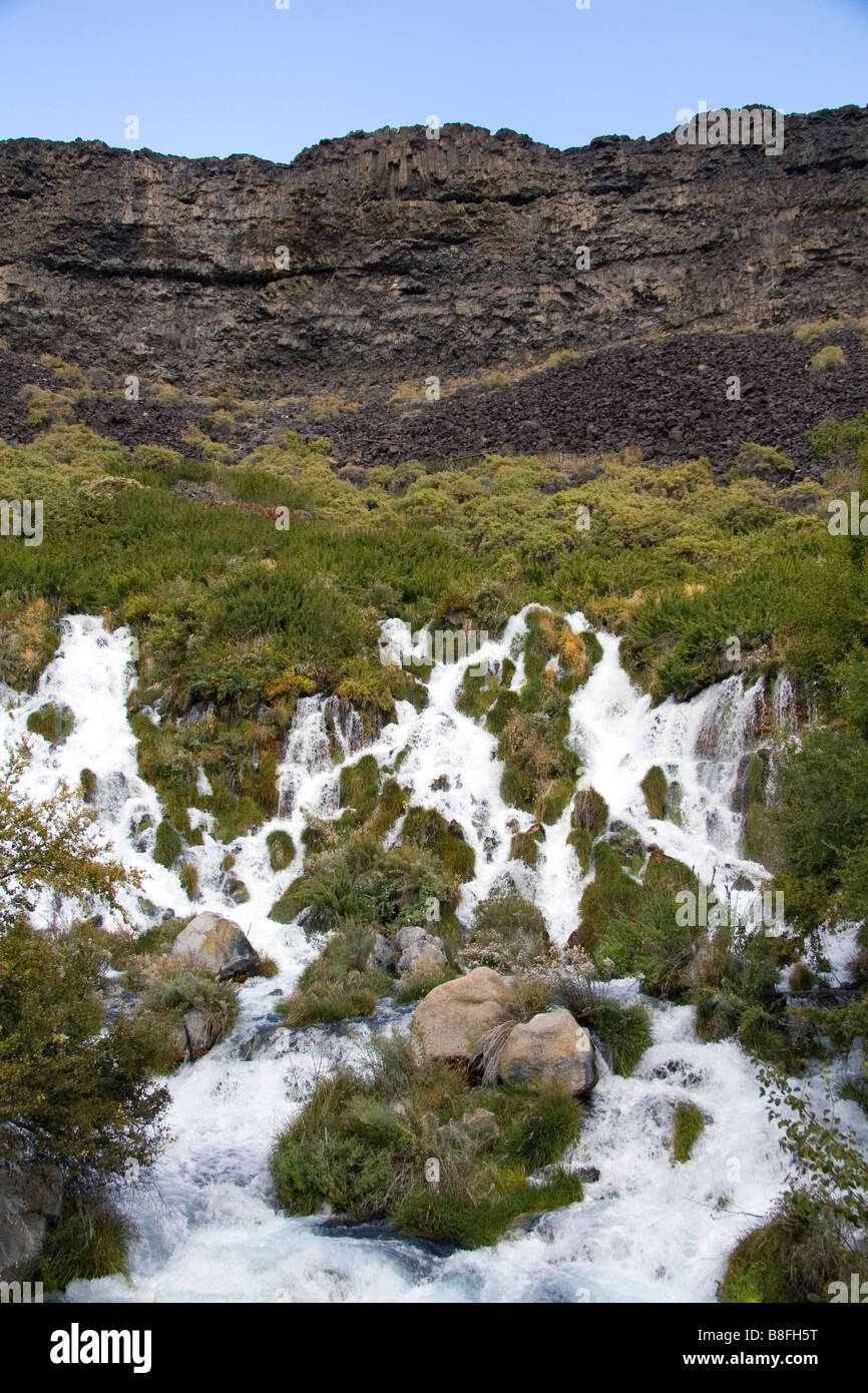Fresh water springs in Niagra Springs State Park in Hagerman Idaho USA Stock Photo
