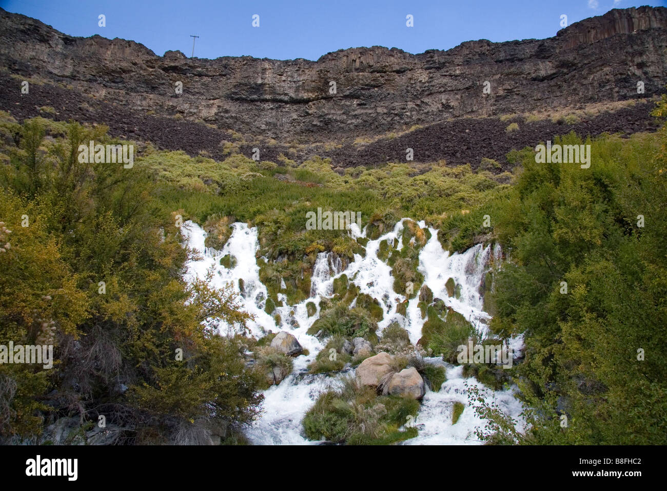 Fresh water springs at Niagra Springs State Park in Hagerman Idaho USA Stock Photo