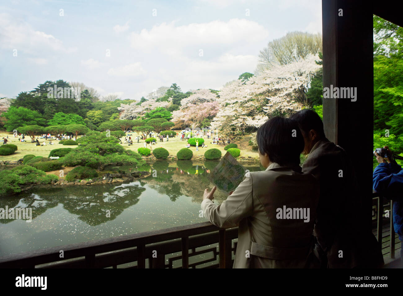 JAPAN TOKYO SHINJUKU GYOEN HANAMI Stock Photo - Alamy