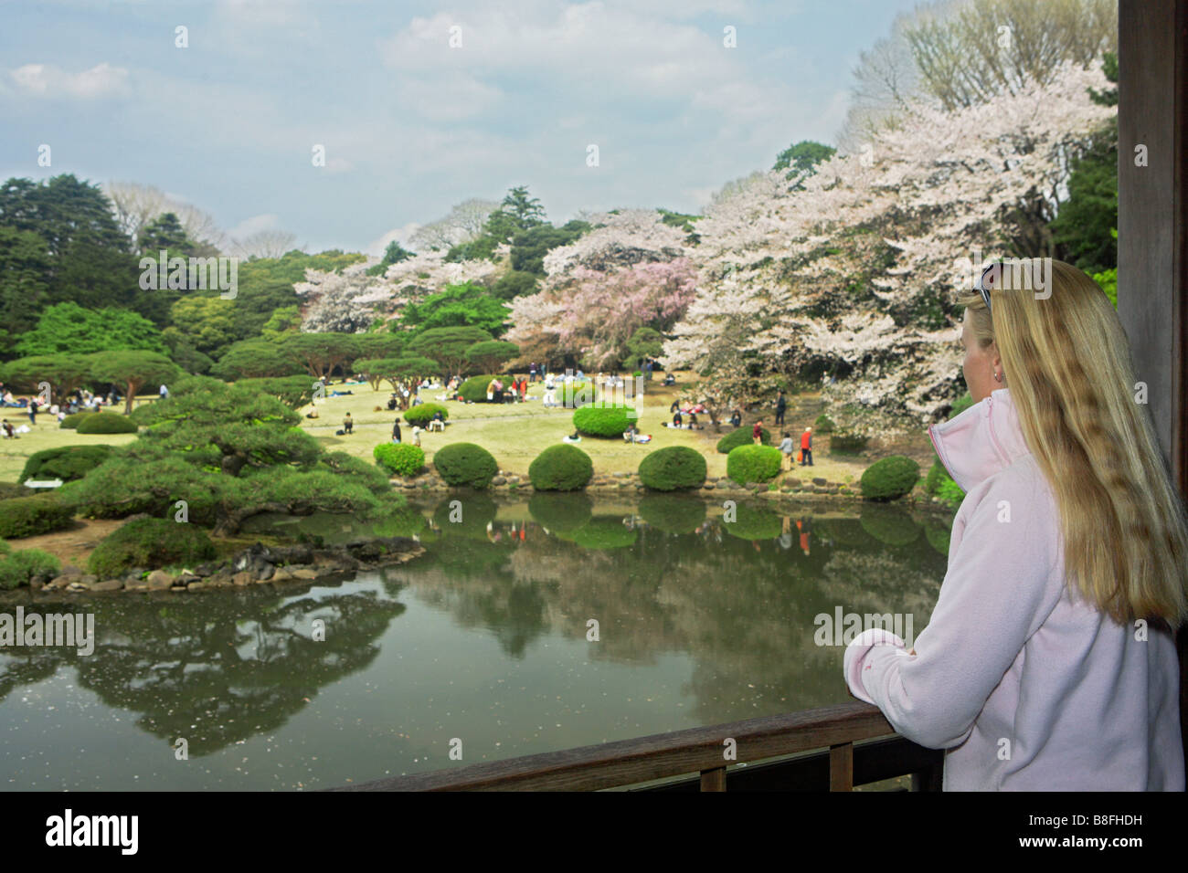 JAPAN TOKYO SHINJUKU GYOEN HANAMI Stock Photo - Alamy