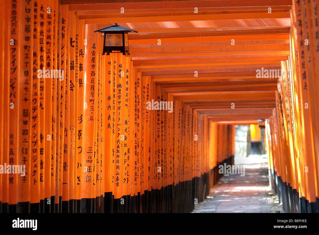 Orange laquered Torii gates at Fushimi Inari Taisha shrine in Kyoto