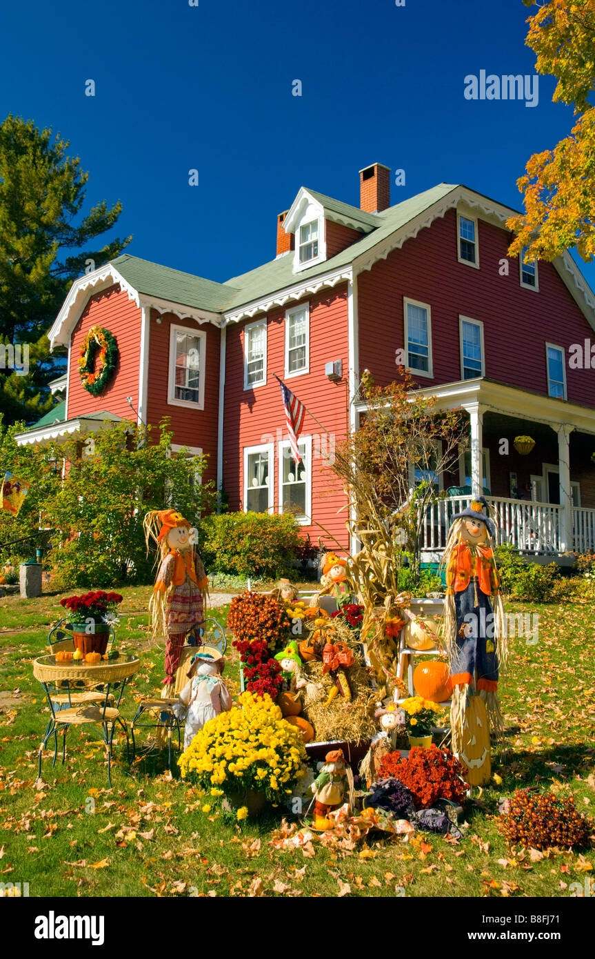 Autumn yard decor with pumpkins corn stalks and scarecrows at the Old