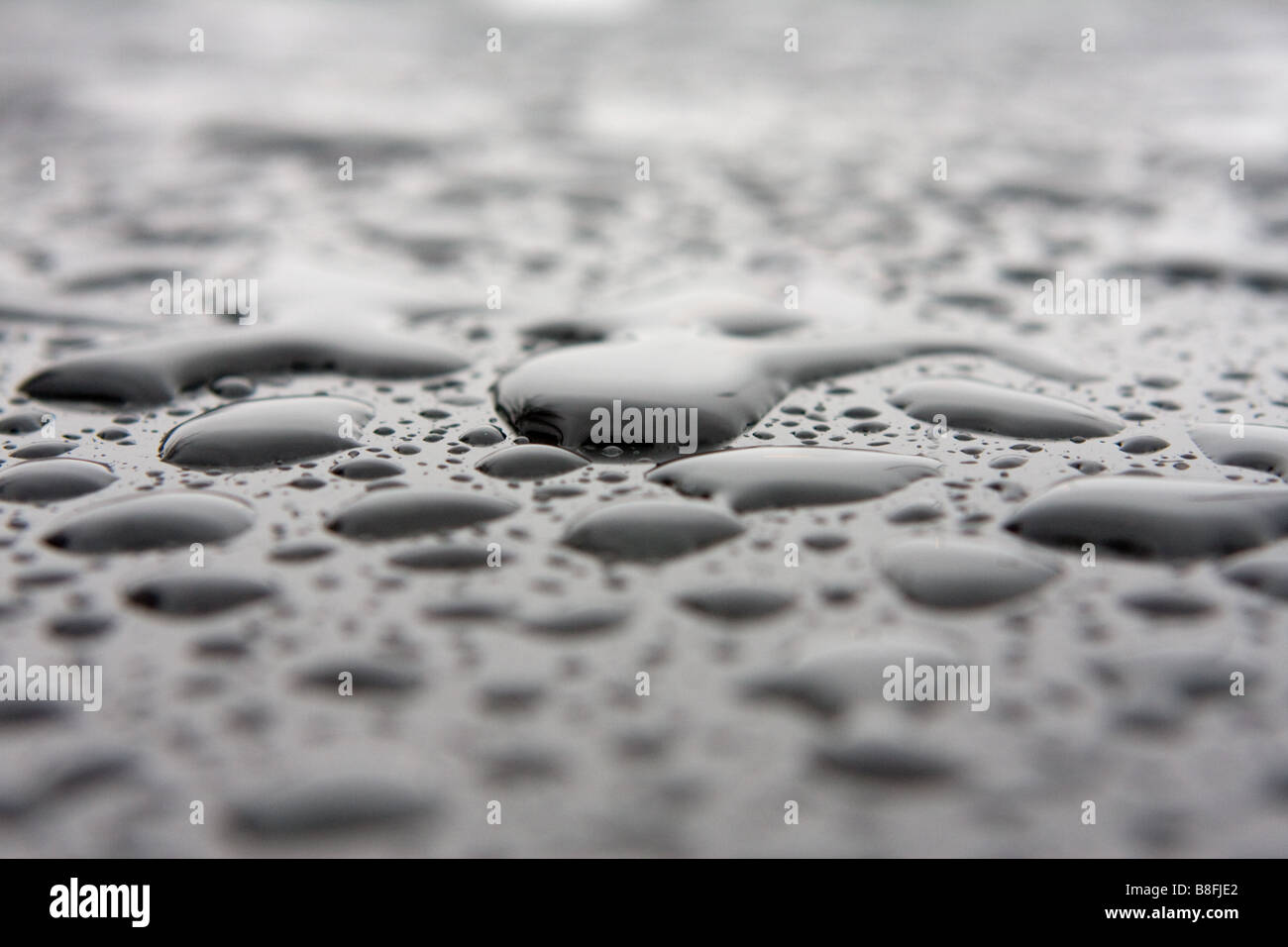 Water droplets during a rain storm Stock Photo