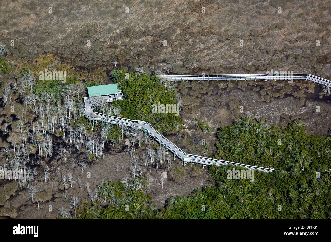 aerial view above viewing platform Everglades National Park Florida Stock Photo