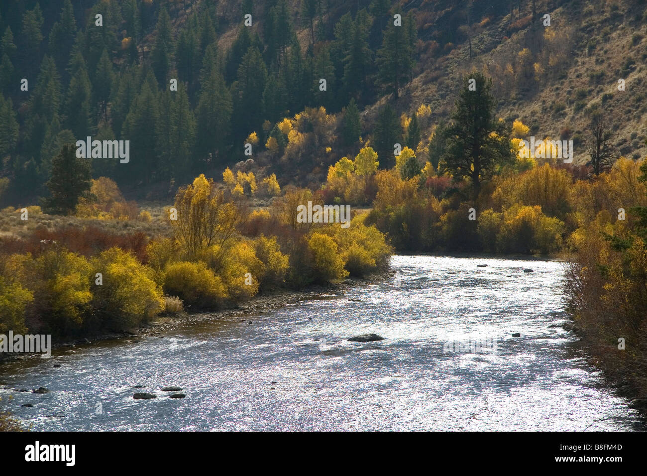 South fork of boise river hires stock photography and images Alamy