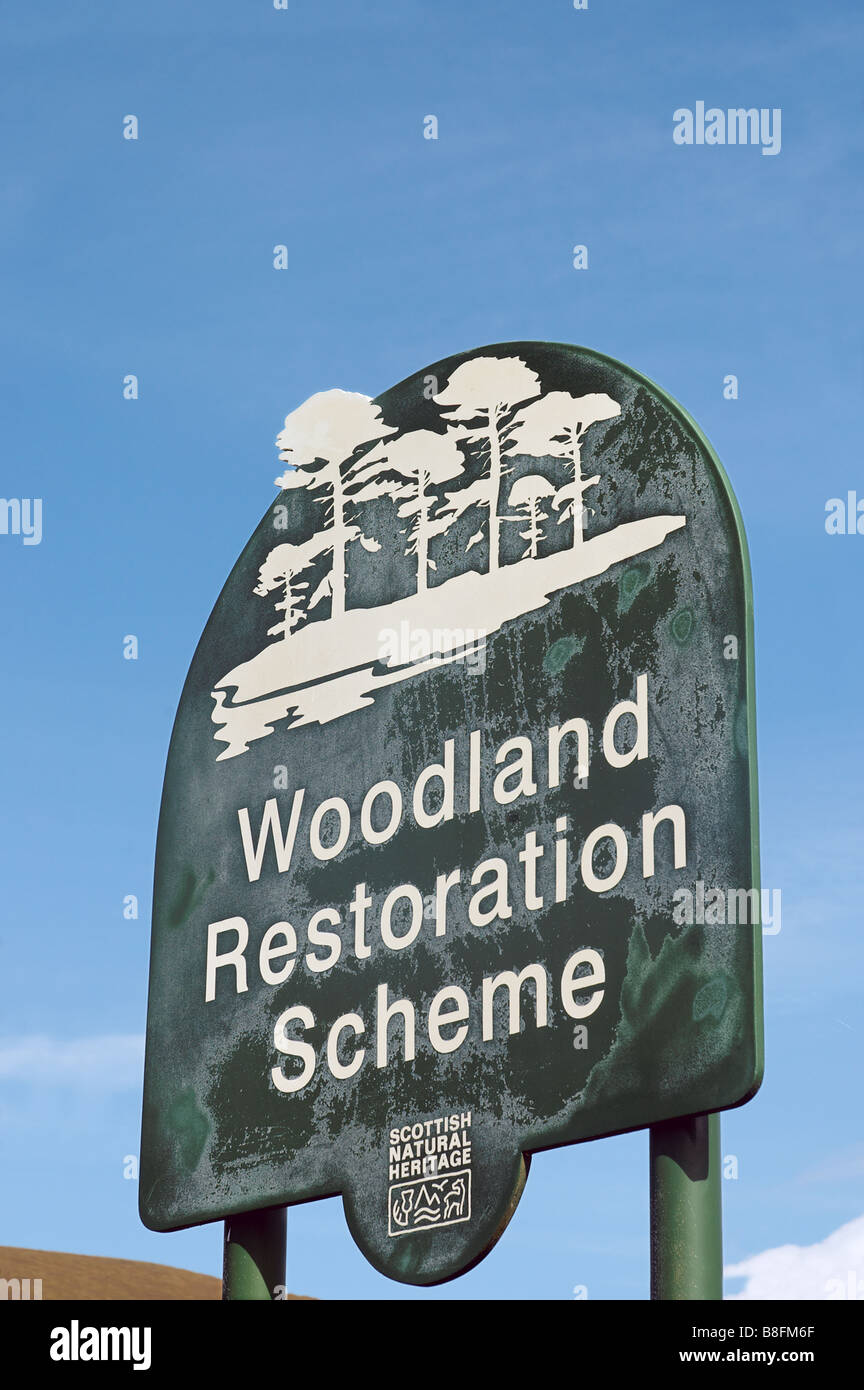 Woodland regeneration hi-res stock photography and images - Alamy
