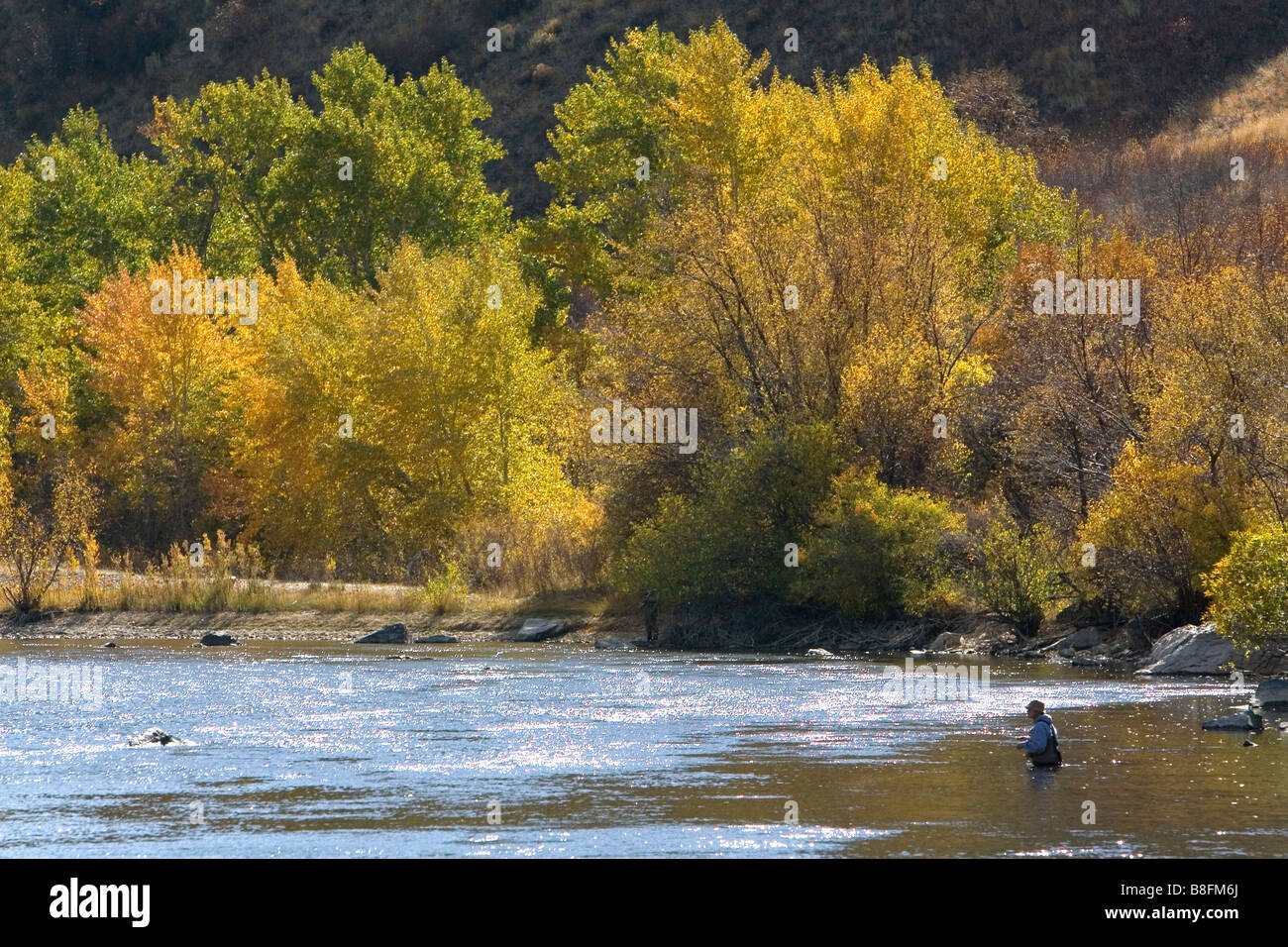 Fly fishing on the south fork of the Boise River in Elmore County Idaho USA Stock Photo