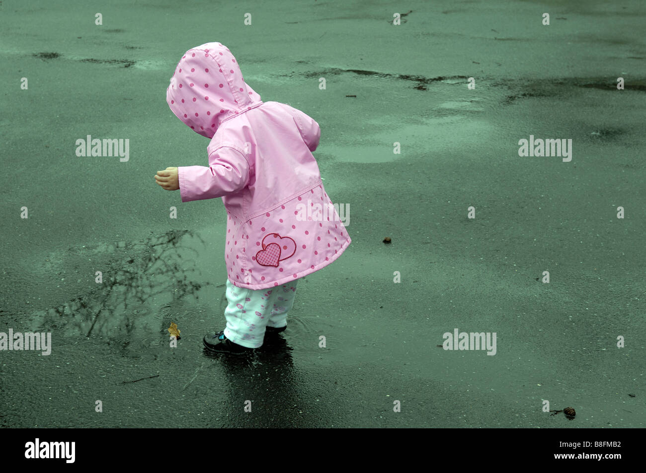 little girl toddler two years old playing pink raincoat wet rainy day cute positive outside female fun jacket weather rain Stock Photo