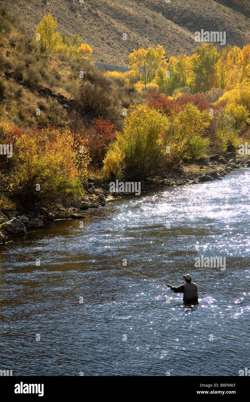 Fly fishing on the south fork of the Boise River in Elmore County Idaho USA Stock Photo