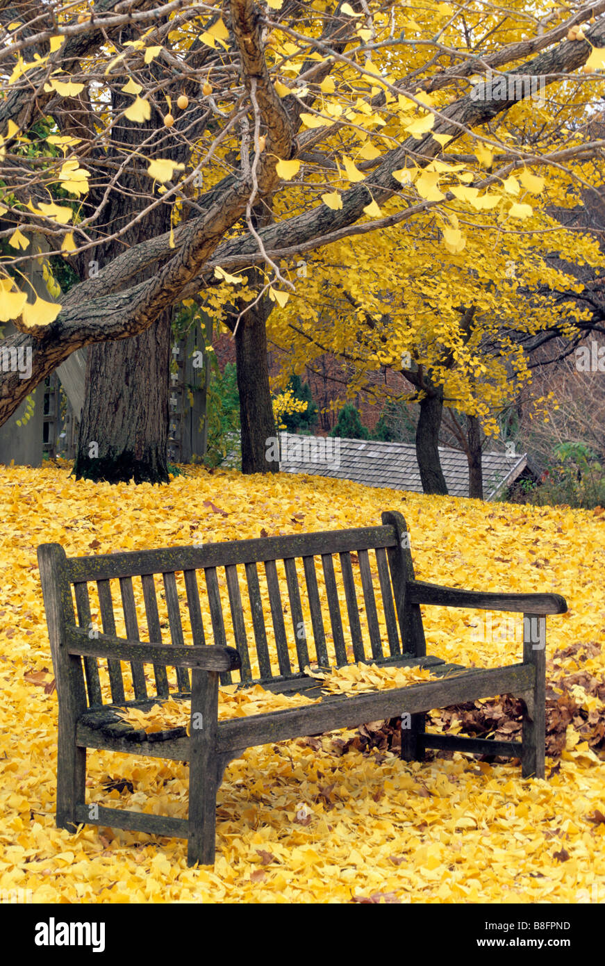 University of minnesota landscape arboretum hires stock photography