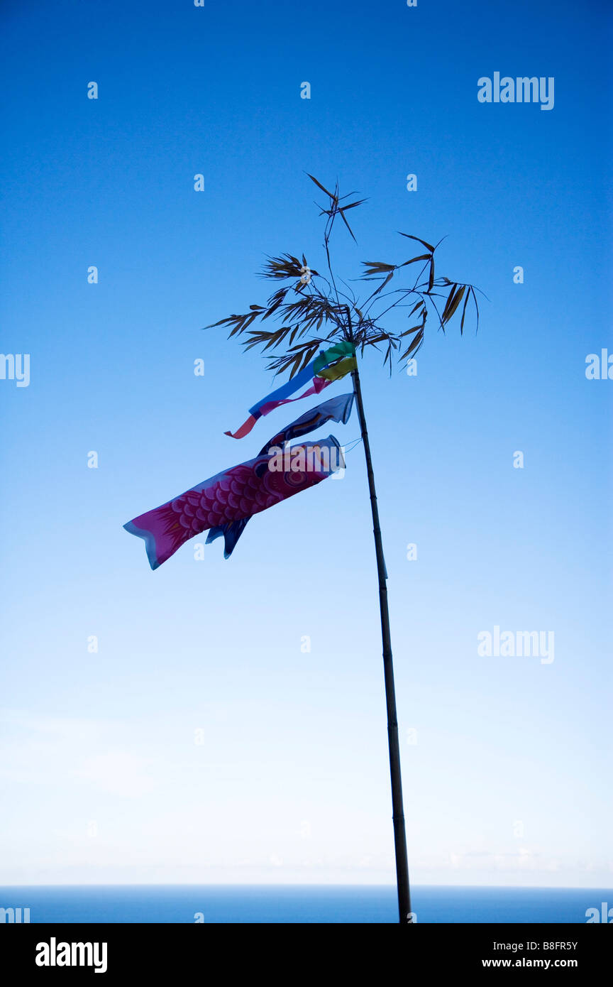 Shred hanging with the tree in the wind Stock Photo