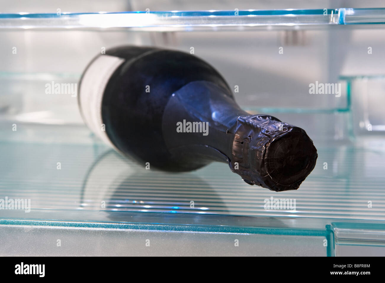 A bottle of champagne in the cooler compartment of a fridge Stock Photo