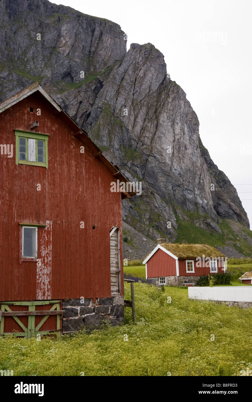 Houses on Værøy island, Lofoten, Nordland, Norway, Scandinavia Stock Photo