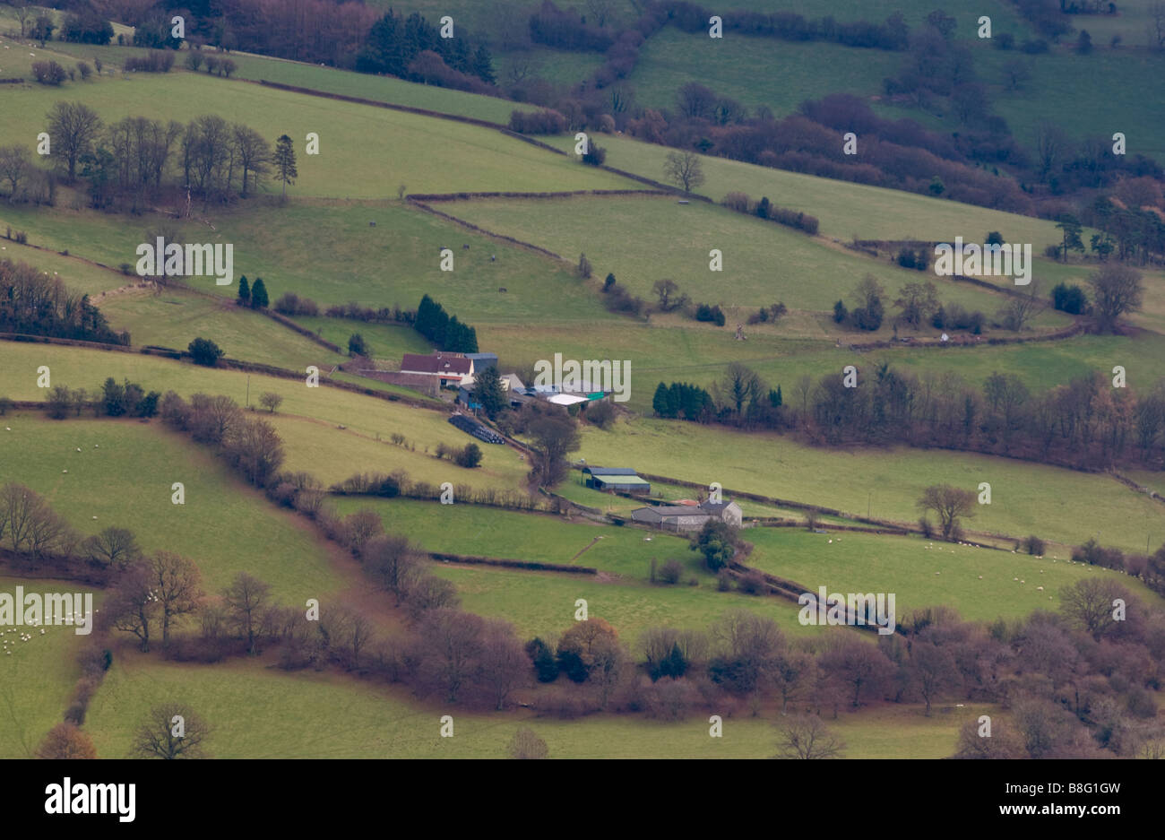 View over hill farm in the Vale of Grwyne Powys Wales UK Stock Photo