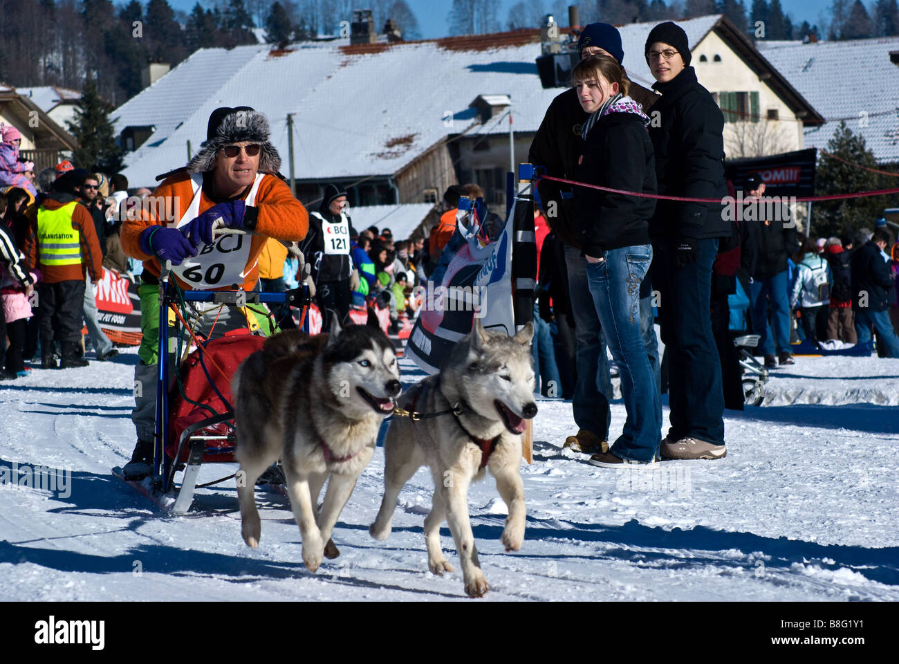 Spectators watch as a dog sled passes, Saignelegier dog sled races. Siberian Husky / Huskies. Fete du Chien Nordique Stock Photo