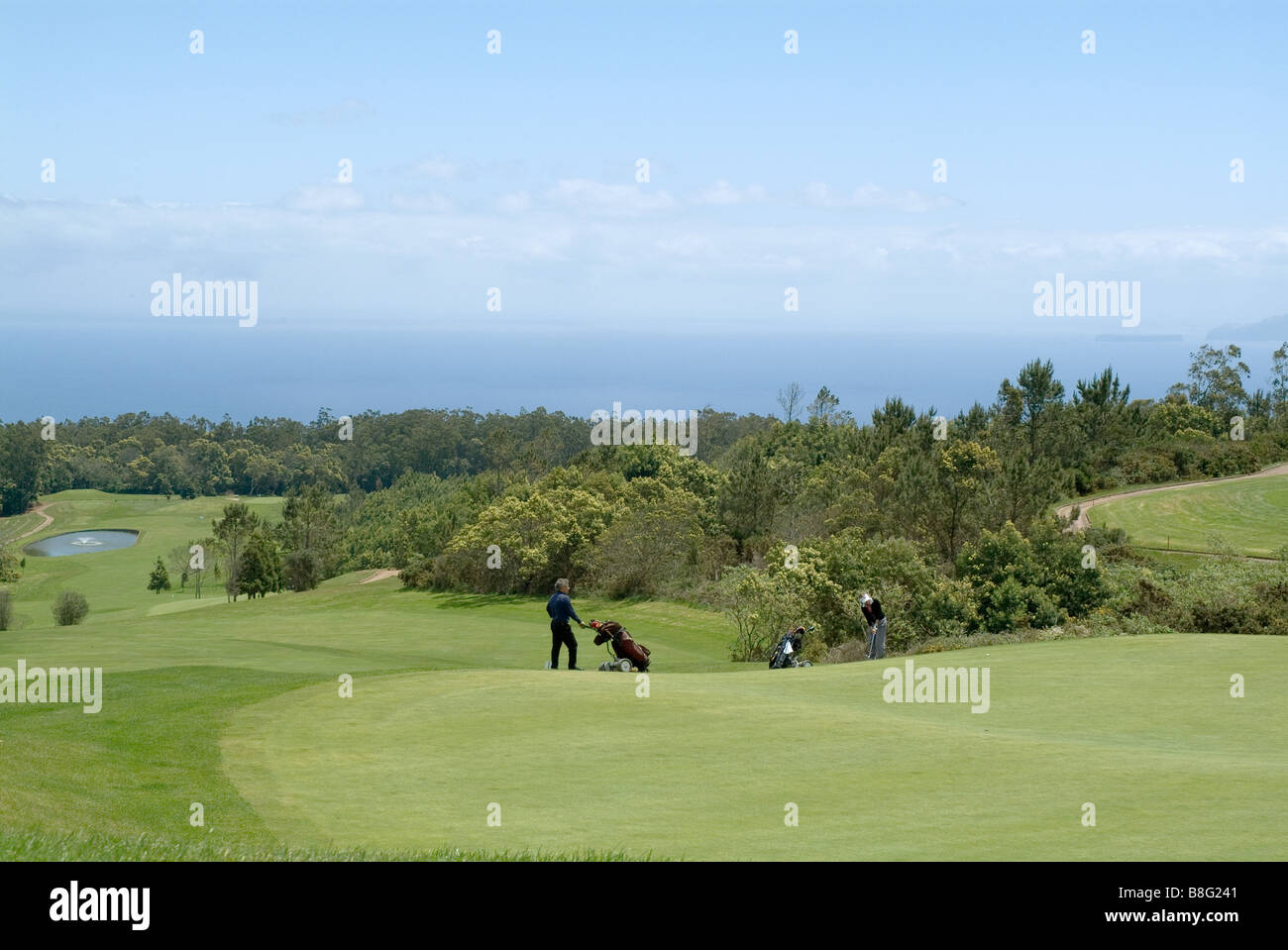 Santo da Serra, golf course, madeira Stock Photo Alamy